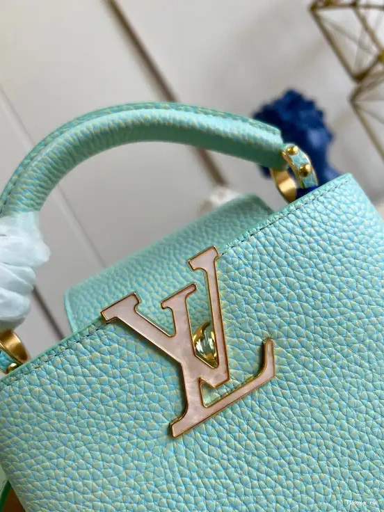 Affordable VUITTON CAPUCINES MINI LOUIS 0602